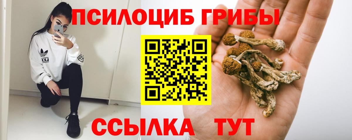 Галлюциногенные грибы мицелий Тара